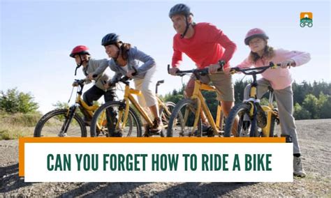 Can You Forget How to Ride a Bike? And Why Do We Still Remember the Taste of Childhood Candy?