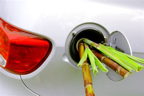 Can You Use Ethanol-Free Gas in a Car? Exploring the Myths and Realities of Fuel Choices