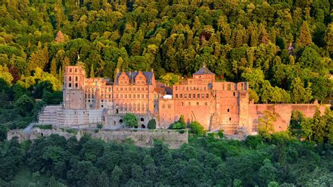   Le Château de Heidelberg: Un Joyau Médiéval Perché sur une Colline verdoyante!