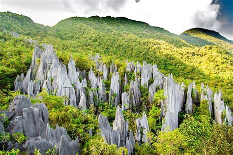 Le Gunung Mulu National Park : Une aventure spéléologique et une faune incroyable en Malaisie!