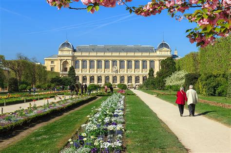 Le Jardin des Plantes: Une Oasis Verdureuse au Cœur Vibrant de Paris!