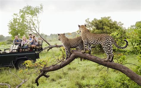 Le Parc National de Maze  : Une aventure sauvage en plein cœur de la région de Mekelle!